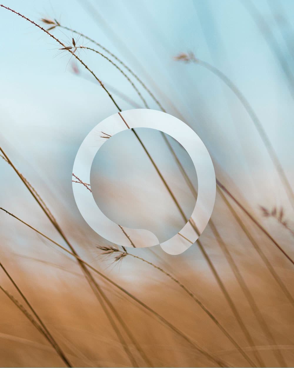 sensly-social-media-intro-1
